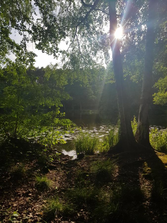 Gemuetliches Ferienhaus In Seenaehe Sewekow Kültér fotó